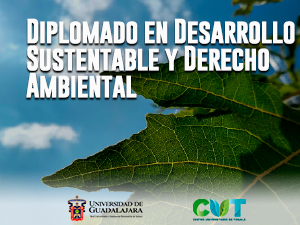 Diplomado en Desarrollo Sustentable y Derecho Ambiental
