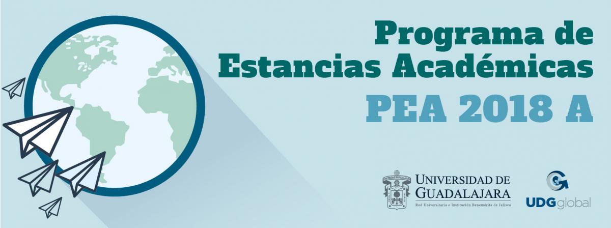 Programa de estancias academicas