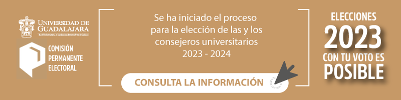 Consulta ala información de las elecciones 2023  da click